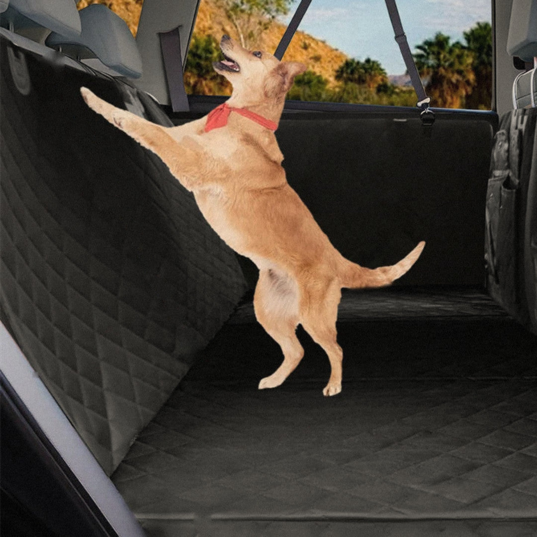 Hund springt auf die stabile Liegefläche